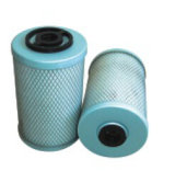 High Quality Auto Parts Fuel Filter for Benz (BF707)