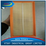 Factory Price Air Filter (1K0129620D) with Good Quality