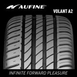 Radial Car Tyre with High Quality (245/55R19)
