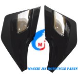 Motorcycle Part Side Cover Evo125