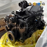Cummins 6CTA8.3-C215 8.3L 215HP Diesel Engine Plateau Machinery Project Construction