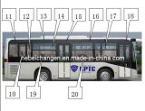 Side Window and Safety Windows for Bus