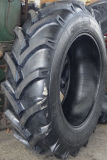 Complete Secifictaion of R1 Pattern for Tractor Tyre (12.4-24)