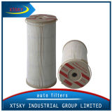 Chinese Manufacturer Heavy Duty Auto Fuel Filter (2020PM)