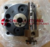 Zexel Injection Pump Head Rotor 146403-6120 for Nissan