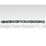 Cummins KTA19 Series Truck Diesel Engine 3066881 Camshaft