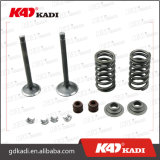 Motorcycle Part Engine Valve Set for Bajaj Boxer Motorcycle Part