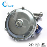 Gasoline Gasoline Valve LPG Carburetor Act07 LPG Electric Reducer