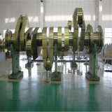 Technical Top Quality Diesel Engine Cast Iron Crankshaft for Marine