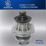 Domestic Market Tested Quality Auto Water Pump for BMW and Mercedes Benz