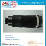 Brand New Air Suspension Spring Suspension for Benz W251 (Front)