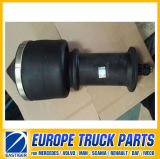 5010491301 Air Spring Gas Shock Absorber for Renault
