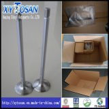 Intake and Exhaust Engine Valve for Volvo (ALL MODELS)
