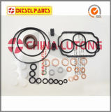 Diesel Ve Pump Seal Kit-Repair Kits for VW, Volvo, Ford