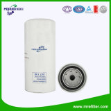 China Filter Factory Fuel Filter 247138 for Daf Car Engine