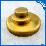 Water Plug in Good Brass