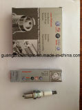 Platinum Spark Plug Manufacturer for Audis Vws 101 905 621 B