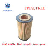 Auto Filter Manufacturer Supply Oil Filter 6111800009 for Jeep Filter Parts 1121840025 for Mercedes-Benz 0986b01574