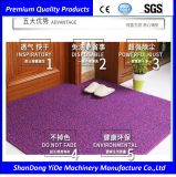 PVC Wire Coil Waterproof and Anti-Sskid Thick Door Mats
