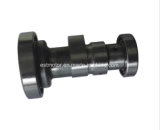 Motorcycle Accessory Motorcycle Camshaft for CD100