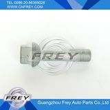 Auto Parts -Wheel Bolt Oe: 6384010171 for Mercedes Benz