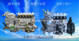 JAC Truck Engine Ca6110 Weifu Injector Pump