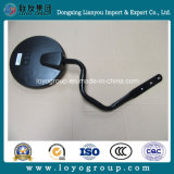 Sinotruck Spare Parts HOWO Down View Mirror