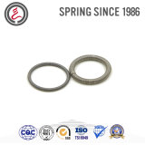 Oil Seal Springs for Environmental Protection Machinery Accessories
